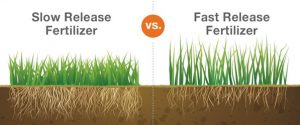 Changes on the horizon for Slow-release Fertilizers