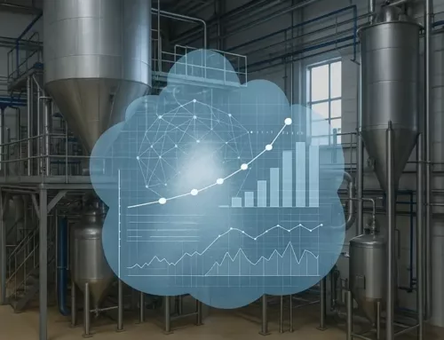 Digital Twins in Powder Processing: From Buzzword To Useful Tool