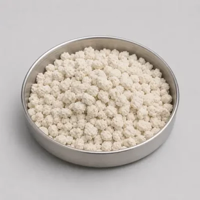 Agglomerated instant food powder in a stainless steel sample dish